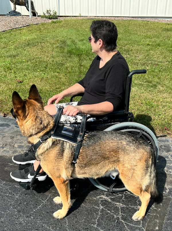 Leather Heavy Duty Mobility Harness - Image 11