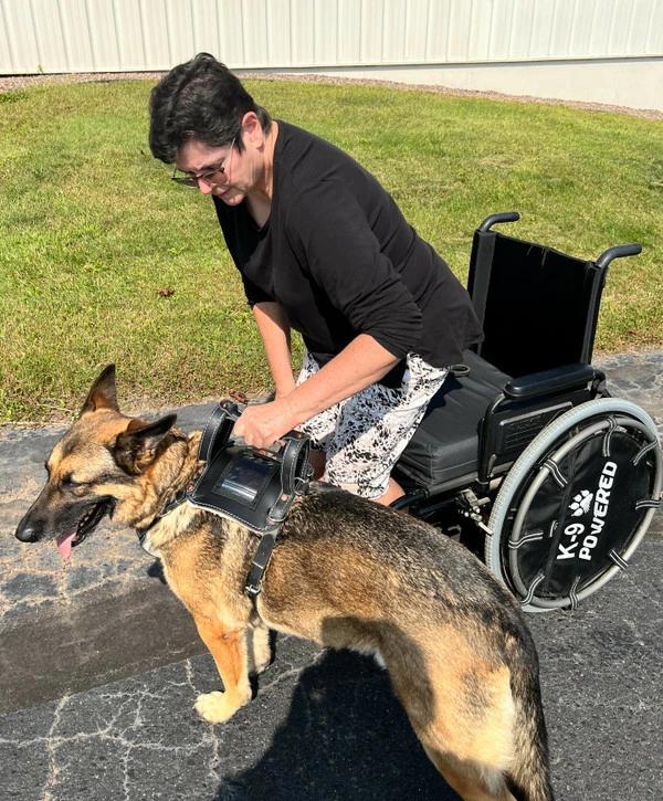 Leather Heavy Duty Mobility Harness - Image 17