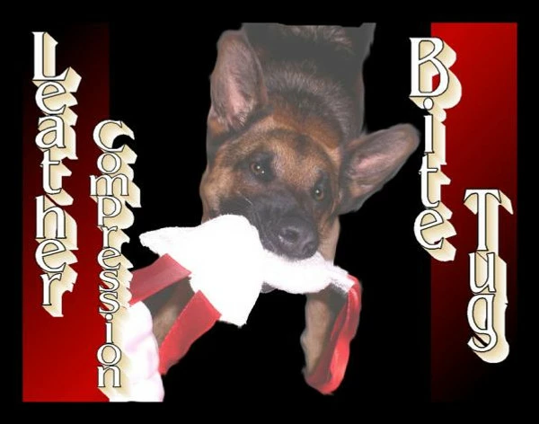 Leather Tugs - Image 11