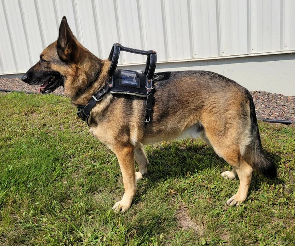 Leather Heavy Duty Mobility Harness - Image 19