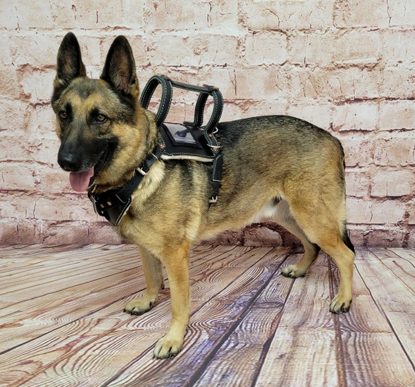 Leather Heavy Duty Mobility Harness - Image 7