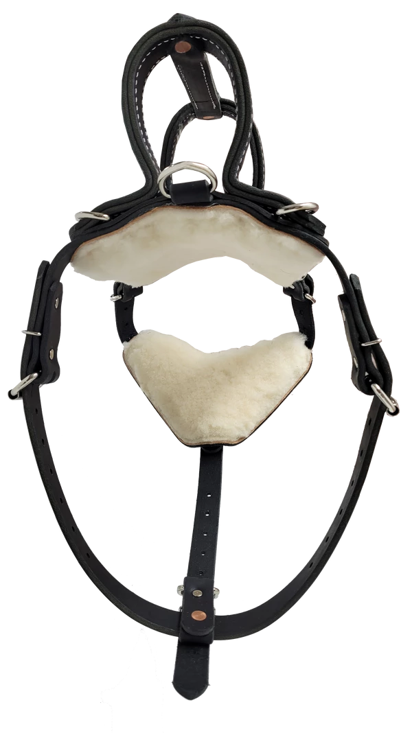 Leather Heavy Duty Mobility Harness - Image 6
