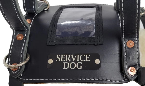 Leather Heavy Duty Mobility Harness - Image 15