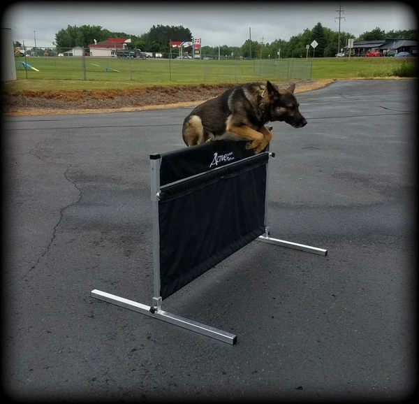 IPO/IGP/Schutzhund Aluminum Pendel Hurdle Jump - Image 3
