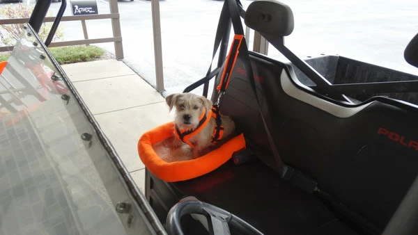 ActiveDogs Fleece No Slip Seat Belt Travel Dog Bed - Image 9