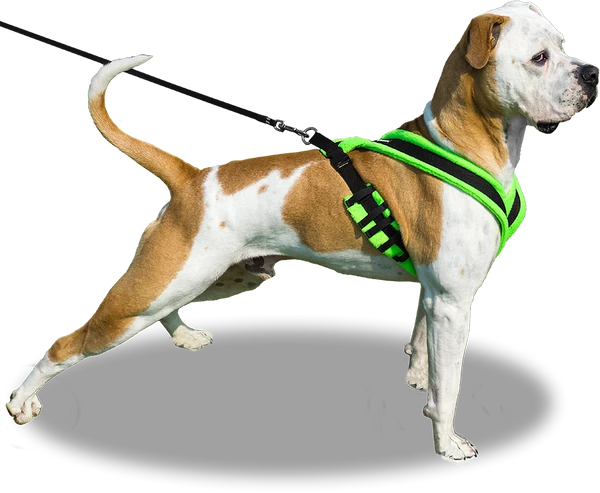ActiveDogs Fleece No Pull Dog Harness - Image 8
