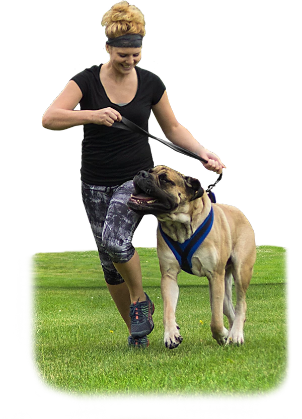 ActiveDogs Fleece No Pull Dog Harness - Image 27