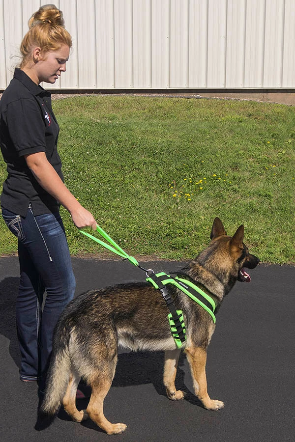 ActiveDogs Fleece Short Loop Leash - Image 8
