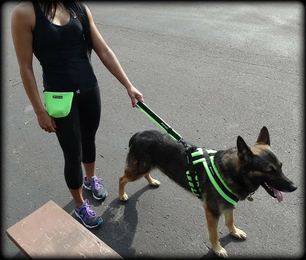 ActiveDogs Fleece Short Loop Leash - Image 2