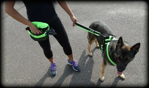 ActiveDogs Fleece Short Loop Leash - Image 4