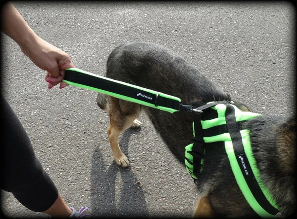 ActiveDogs Fleece Short Loop Leash - Image 6