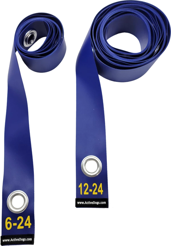 Agility Weave Pole Position Guide - Image 2