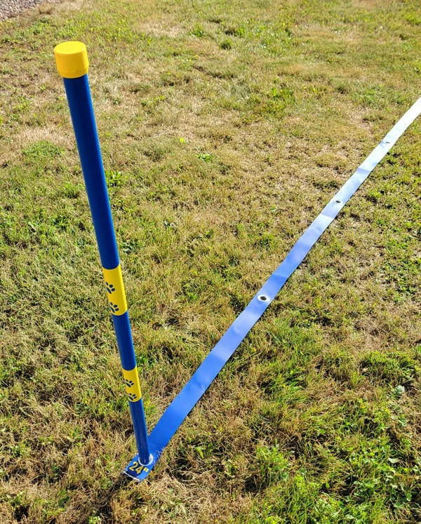 Agility Weave Pole Position Guide - Image 4
