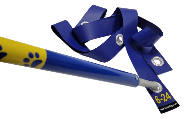 Agility Weave Pole Position Guide - Image 5