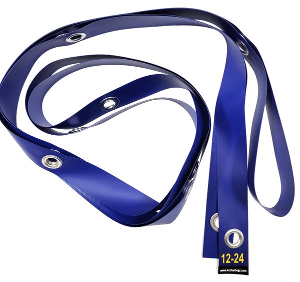 Agility Weave Pole Position Guide - Image 7