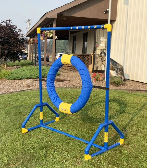 Agility Competition Tire Jump - Image 10