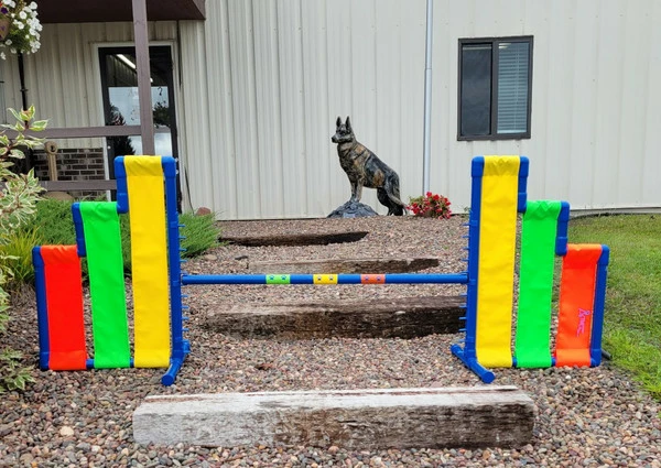 Agility Cascading Wing Jump- Competition Size - Image 4