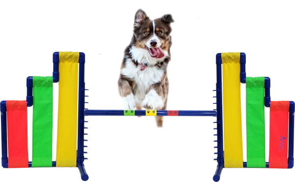 Agility Cascading Wing Jump- Competition Size - Image 3