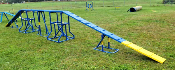 Agility PVC Deluxe Double Dog Walk Bases W/Side Ramps - Image 17