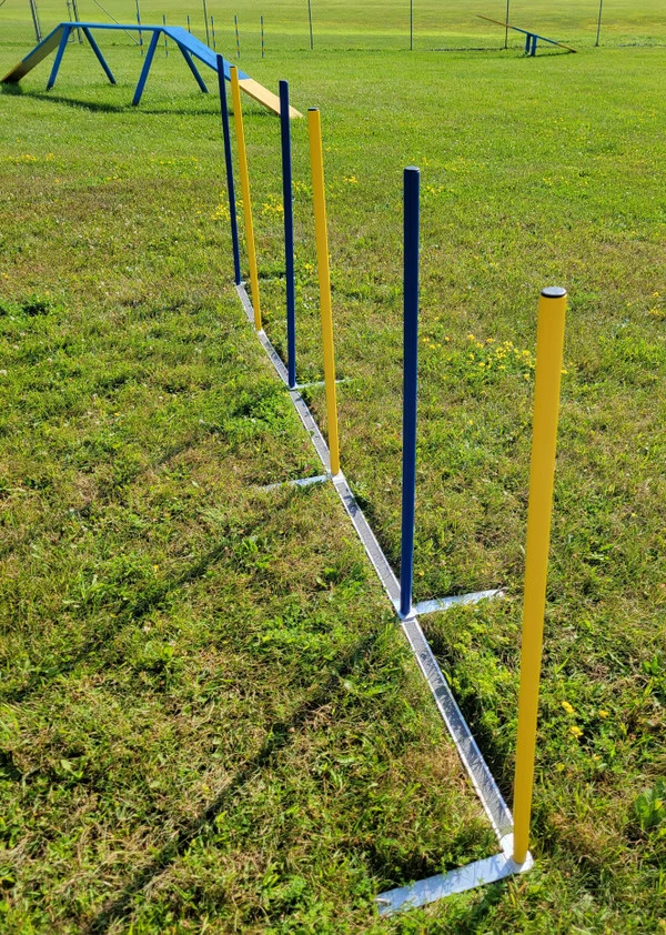 Agility Competition Weave Poles - Plus 2x2 Training System - Image 5