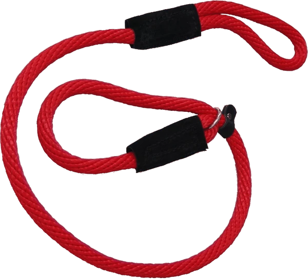 Heavy Nylon Mendota Slip Leash
