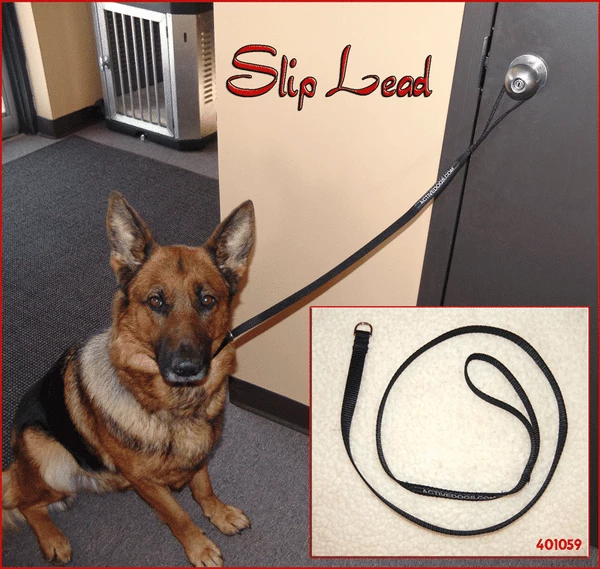 Nylon Slip Lead 5/8" - Image 2