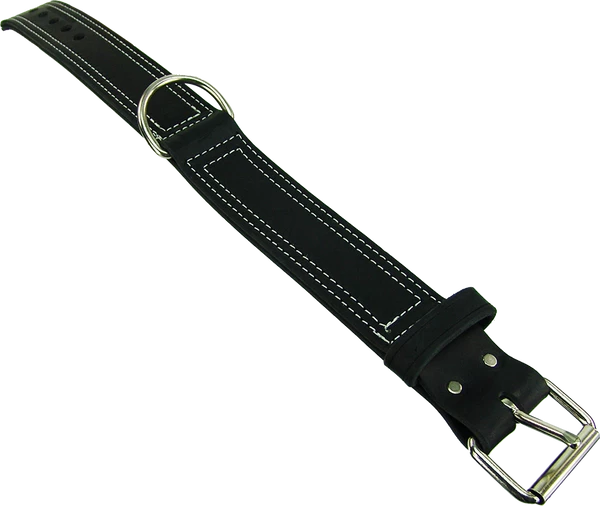 Center D-Ring Leather Dog Collar 2" - Image 5