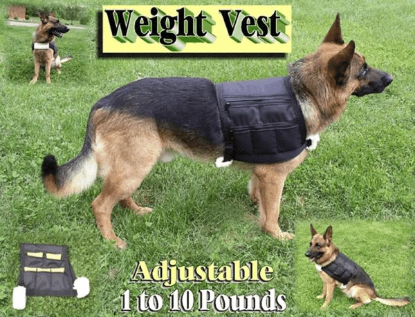 10 Lb Dog Weight Vest - Large - Image 3