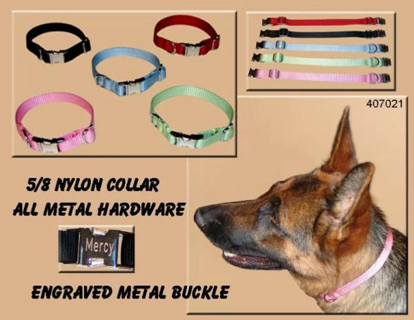 Nylon Dog Collar 5/8" - Image 2