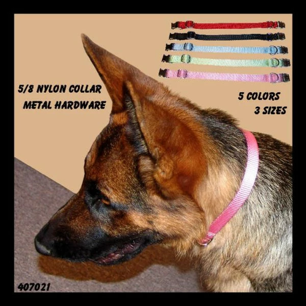 Nylon Dog Collar 5/8" - Image 3