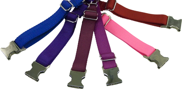 Nylon No-Slip Dog Collar - 1" Martingale - Image 3