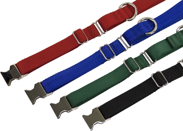 Nylon No-Slip Dog Collar - 1" Martingale - Image 6