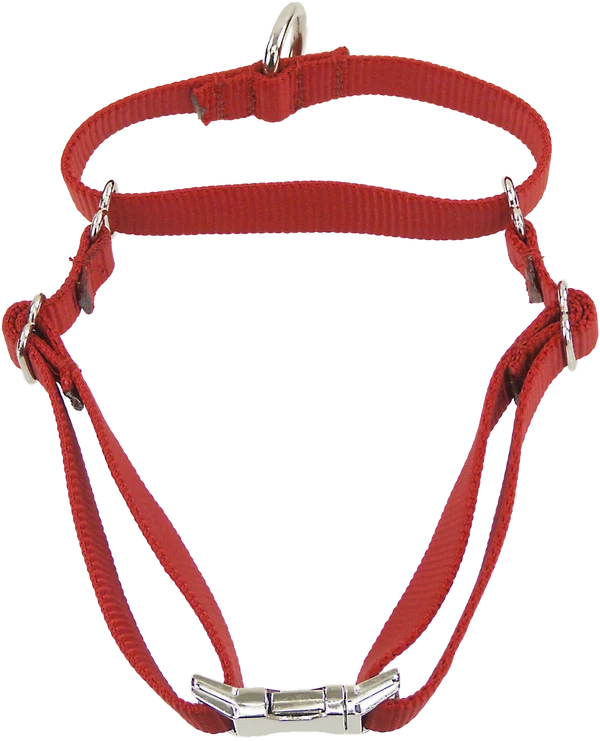 Nylon No-Slip Dog Collar - 1" Martingale - Image 2