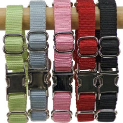 2 Way Adjustable Martingale Dog Collar - 5/8" - Nylon