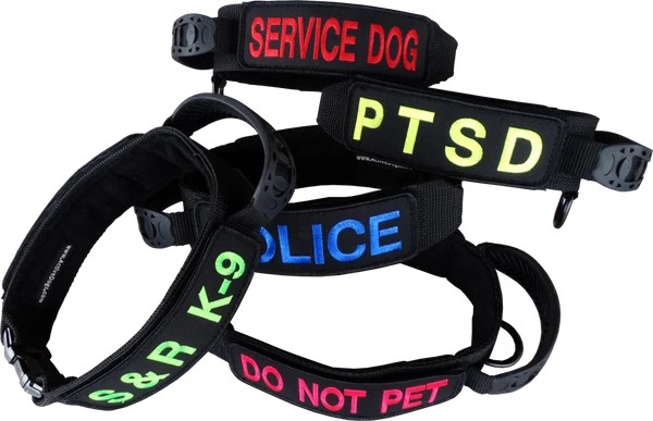 Custom ID Patch Dog Collar With Handle - Image 3