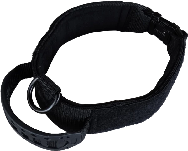 Custom ID Patch Dog Collar With Handle - Image 6