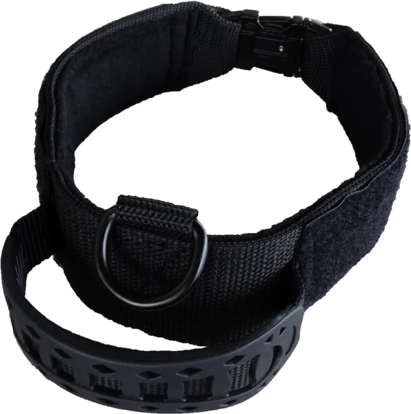 Custom ID Patch Dog Collar With Handle - Image 7