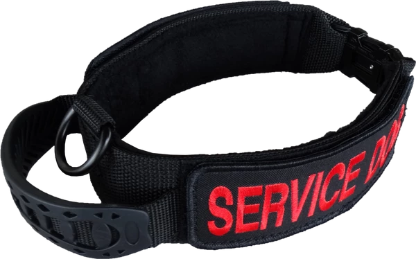 Custom ID Patch Dog Collar With Handle - Image 8