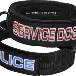 Embroidered Patch Dog Collar