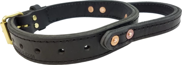 Leather Agitation Dog Collar With Handle - Image 3