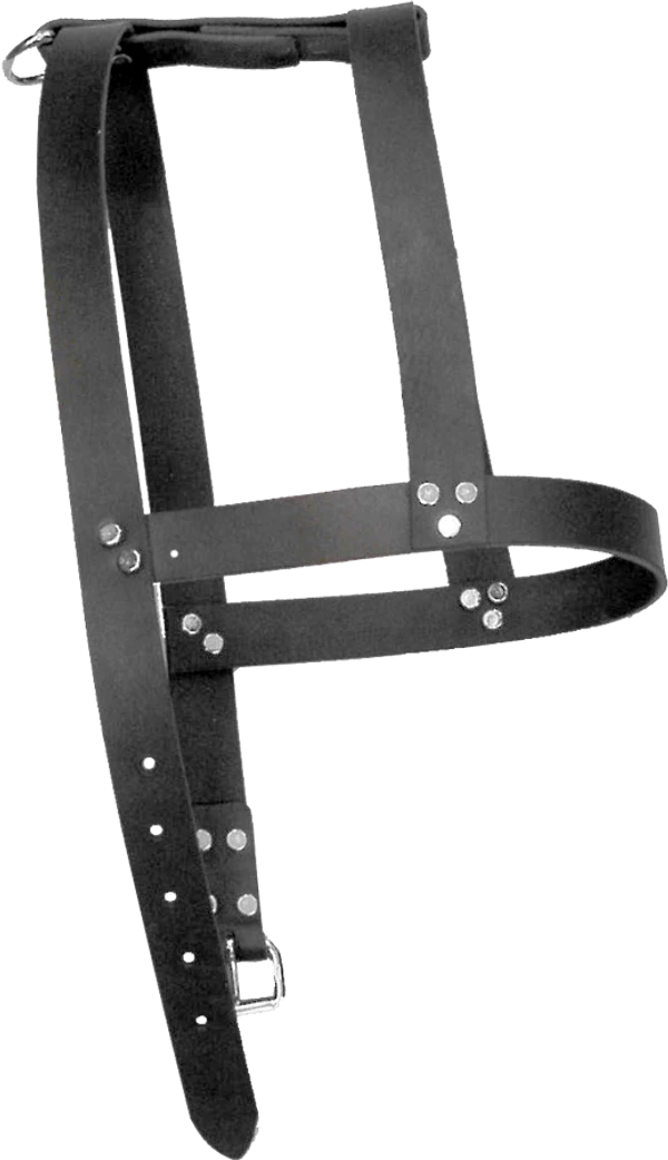Leather H-Harness