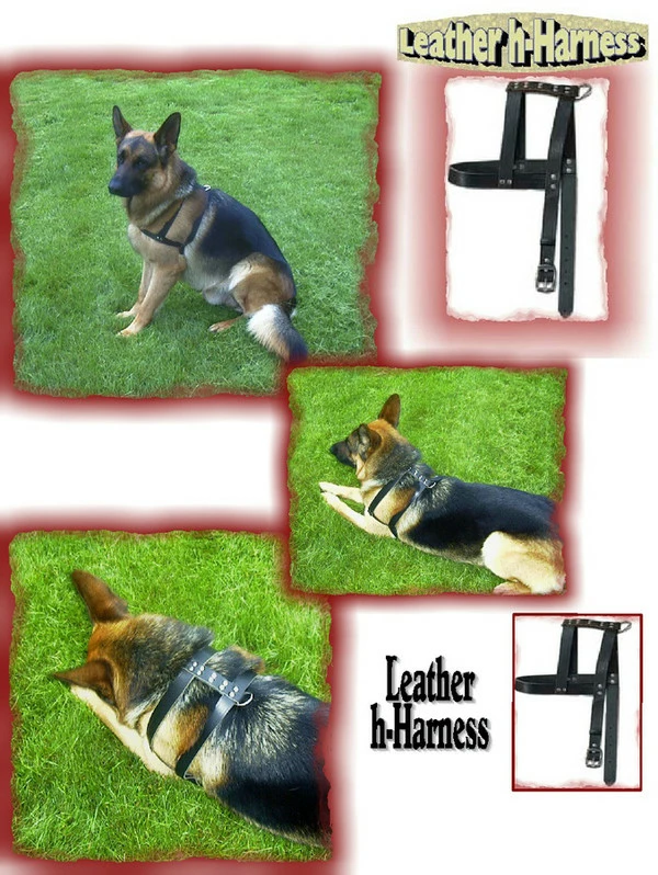 Leather H-Harness - Image 2