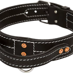 Leather Dog Collar With Handle 2"
