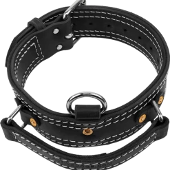 Leather Collar With Flat Handle 2"