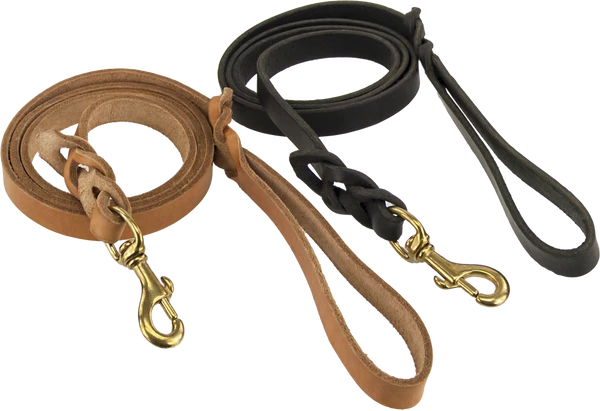 CaliberDog Braided Leather Leash 5.5'