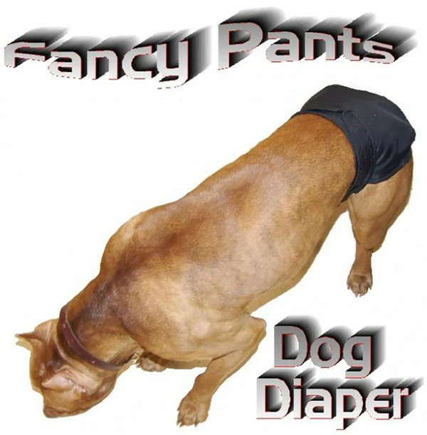 Set Of 3 Fancy Pants Diapers - Image 6