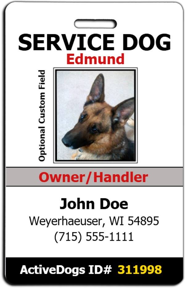 Medical Information ID + Free Digital Copy - Image 5