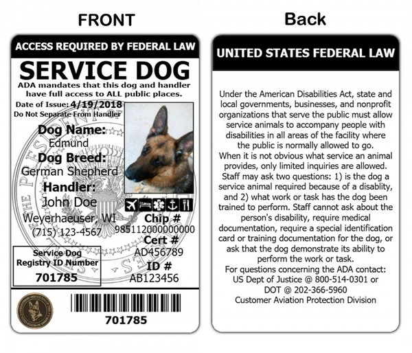 Premium Service Dog Starter Kit - Image 2