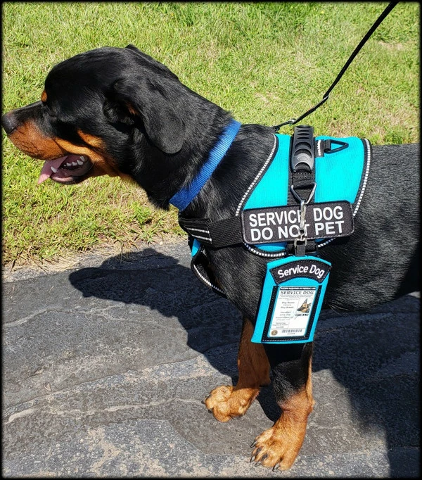 Clip-On Service Dog ID Pouch - Image 6