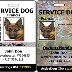 Vertical Identification Card + Free Digital Copy